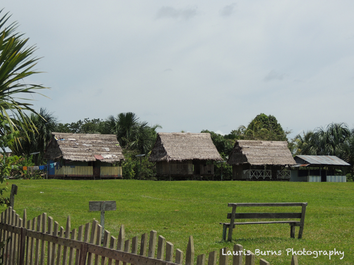 Amazonian Village
